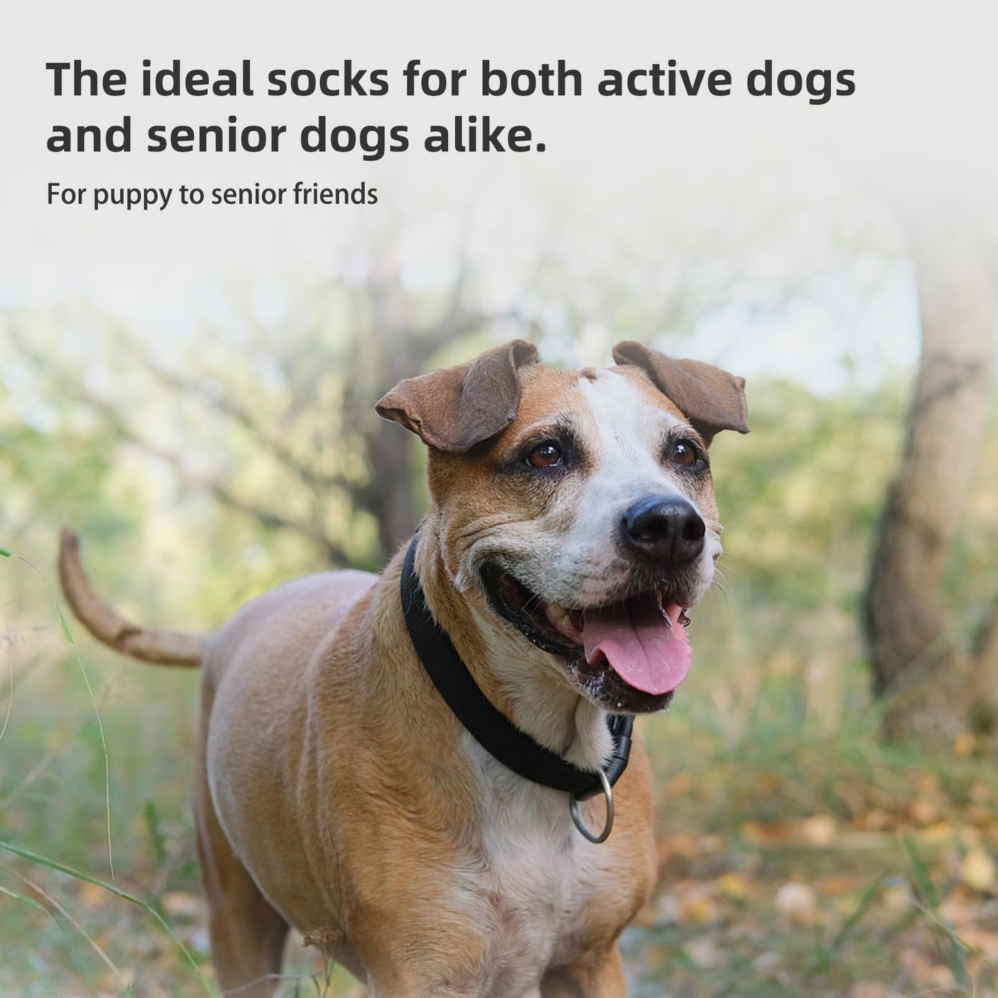 PUPTECK Anti-Slip Dog Socks with Double Sides Grips for Small Medium Large Dogs Hardwood Floors Prevents Licking, Dog Shoes for Hot Pavement Traction Control Paw Protector for Senior Dogs, Grey S