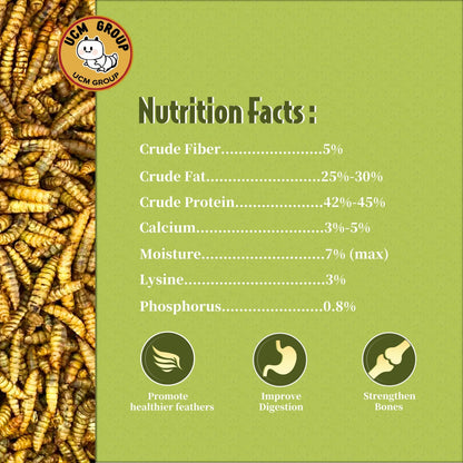UCM Group 5LB Dried Black Soldier Fly Larvae for Chicken, Poultry, Wild Birds,No Additives, 100% Natural Non-GMO, More Calcium Chicken Treats Than Mealworms