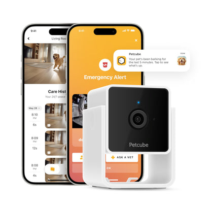 Petcube Cam | Indoor Wi-Fi Pet and Security Camera with Phone App, Pet Monitor with 2-Way Audio and Video, Night Vision, 1080p HD Video and Smart Alerts for Ultimate Home Security