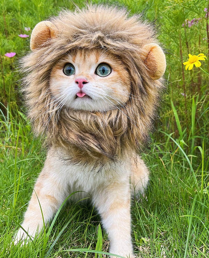 Lion Mane Wig for Cat,Cat Costume,Puppy Costume,Funny Pet Cat Costumes for Halloween Christmas, Funny Pet Clothing Accessories (Medium, Black & Light Brown)