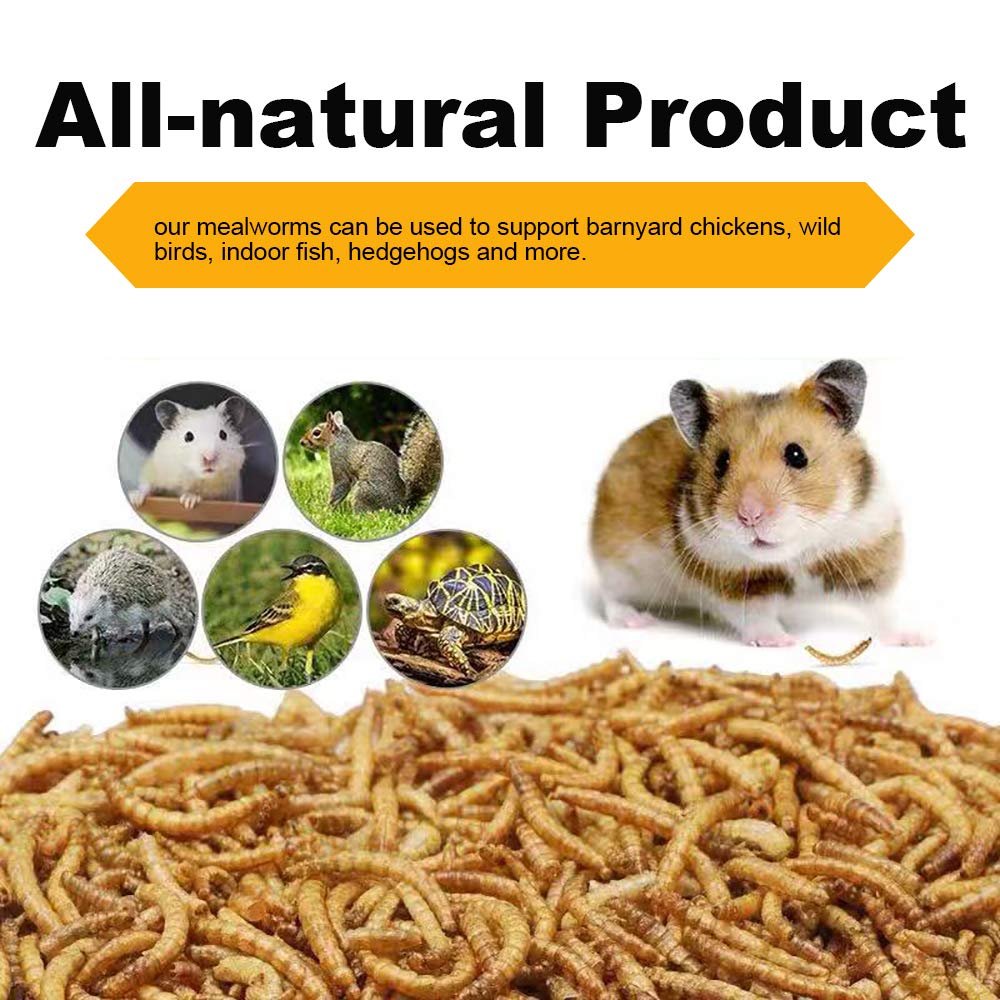 LuckyQworms 20lbs Mealworms, High-Protein Dried Mealworms for Birds, Chickens, Turtles, Fish, Hamsters and Hedgehogs, Non-GMO and Chemical Free, All Natural Animal Feed