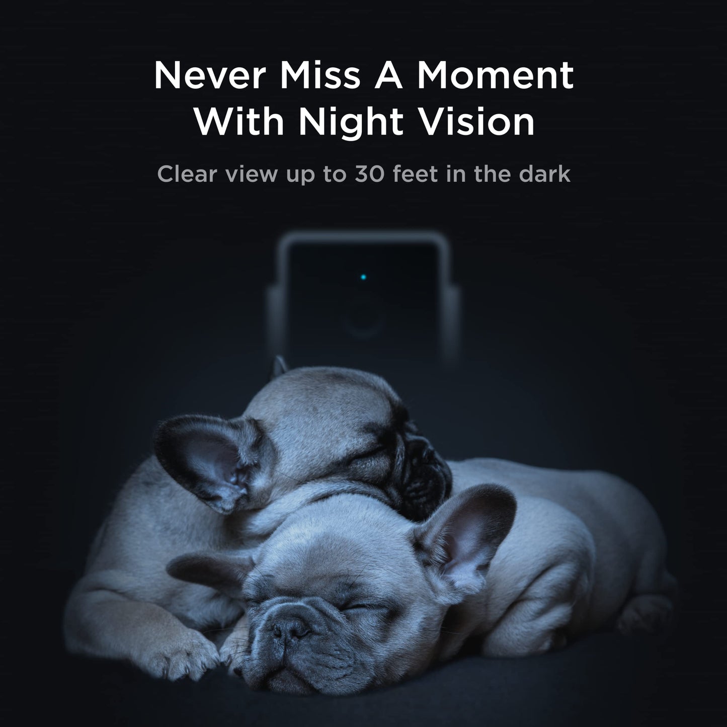 Petcube Cam | Indoor Wi-Fi Pet and Security Camera with Phone App, Pet Monitor with 2-Way Audio and Video, Night Vision, 1080p HD Video and Smart Alerts for Ultimate Home Security