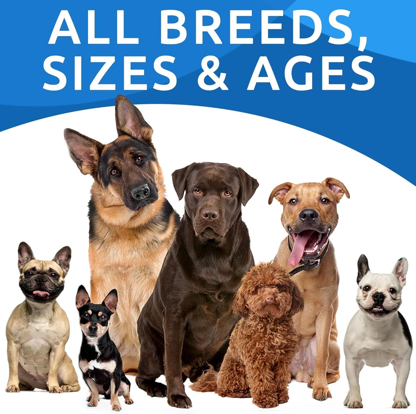 BARK&SPARK Advanced Dog Allergy Itch Relief Chews - Skin Probiotics w/Fish Oil Omega 3 - Itchy Skin Relief Pills - Anti Itching Licking - Skin Allergies Treatment Immune Supplement Colostrum-120 Bacon
