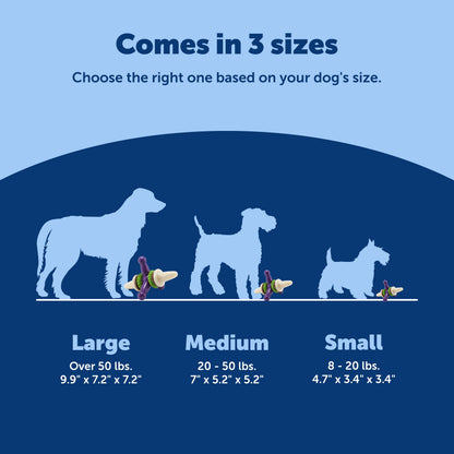 PetSafe Busy Buddy Jack - Keeps Dog Busy - Includes Treats Refill - Treat Holding Dog Toy - Helps Clean Teeth - Durable Rubber - Strong Chewers - Dishwasher Safe - Large - Purple