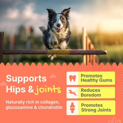 Gaines Pet Duck Feet for Dogs – 20 Count, Natural Chews with Glucosamine, Chondroitin & Collagen – Single Ingredient Dog Treats, Grain-Free, USA Made, Joint & Dental Health Support