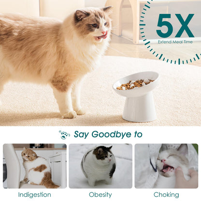 vancasso Ceramic Slow Feeder Cat Bowl, 6.25 Inch Elevated Cat Slow Feeder Bowl, Anti Vomiting for Dry and Wet Food, White