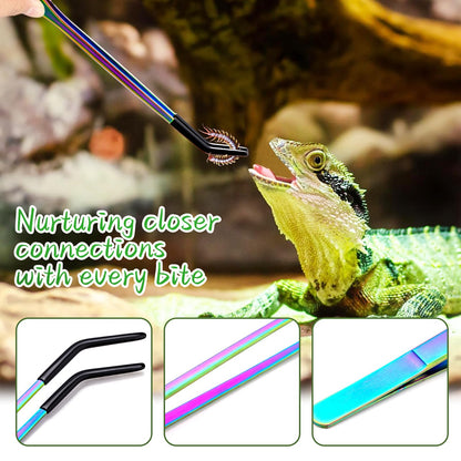 OLIISS Stainless Steel Reptile Feeding Tongs with Rubber Tip - 10.6" Straight & Curved Tweezers for Aquariums & Crafts - Feeder Tools for Bearded Dragons & Lizards - Terrarium Tank Supplies - 2 Pack