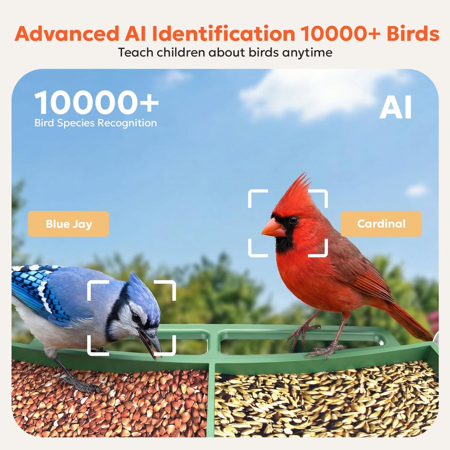 owltron Window Bird Feeder with Camera, 2K 3MP Window Bird Friends Feeder with AI Identify 10000+ Birds 2.4/5GHz WiFi 24/7 Live View Recording 147°Ultra Angle for Elderly Parents, Kids, Birding Lovers