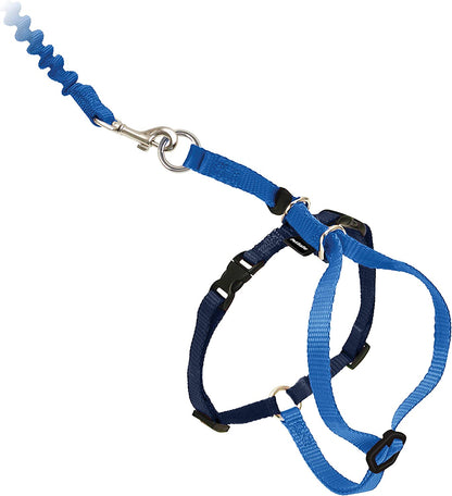 Petsafe Come with Me Kitty Harness and Bungee Leash, Harness for Cats, Large, Royal Blue/Navy, CWMK-L-RYL