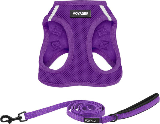 Voyager Step-In Air All Weather Mesh Harness and Reflective Dog 5 Ft Leash Combo with Neoprene Handle, for Small, Medium and Large Breed Puppies by Best Pet Supplies - Set (Purple), M