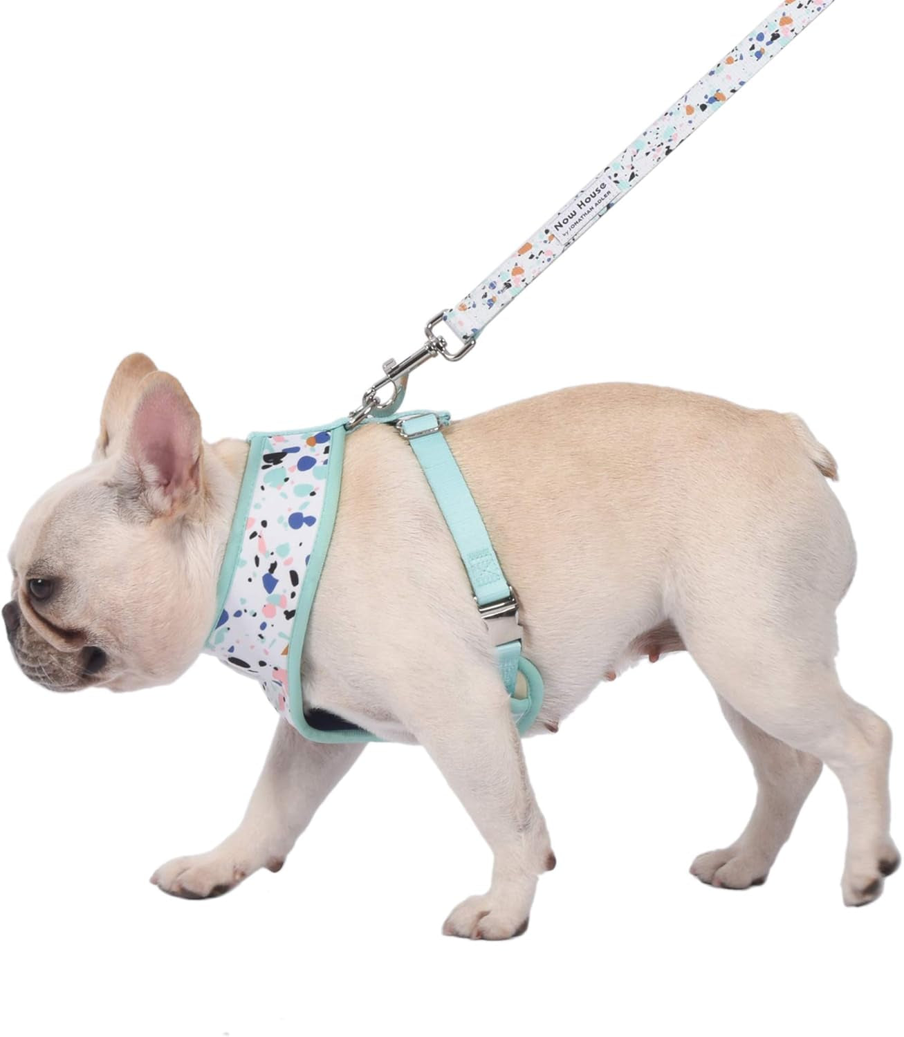 Now House for Pets by Jonathan Adler Terrazzo Reversible Harness, Medium | Stylish, Fashionable, and Functional Way to Keep Your Dog Looking Great | Cute and Adorable Dog Accessories for Pets