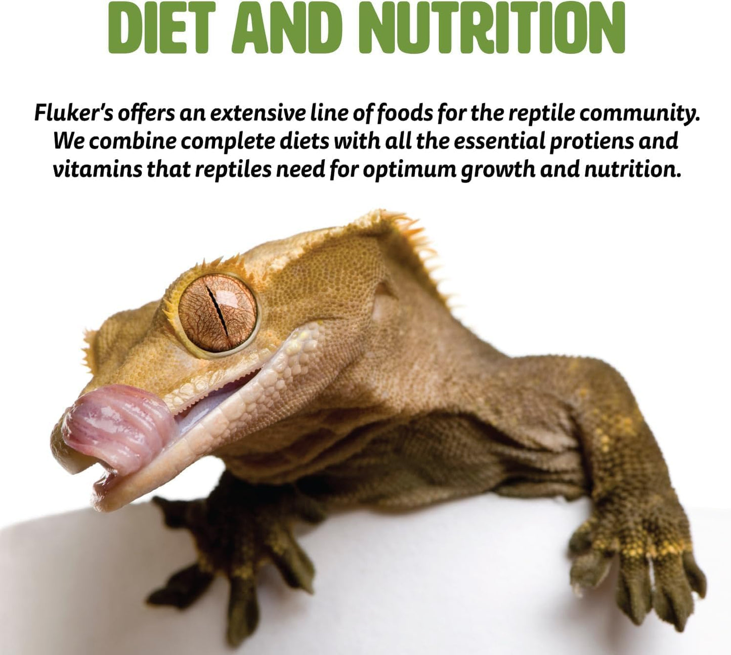 Fluker's Freeze Dried Crickets, Ideal for Reptiles, Birds, and Fish, Packed with Protein and Essential Nutrients, 1.2 oz