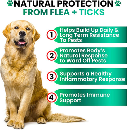 Flea and Tick Prevention for Dogs Chewables - Made in USA - Natural Flea and Tick Chews Supplement for Dogs - Oral Flea Pills for Dogs - Pest Defense - All Breeds and Ages - 120 Soft Tablets