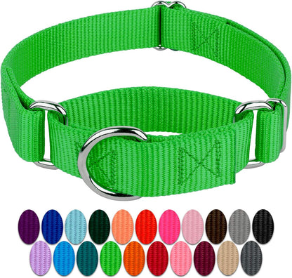 Country Brook Petz - Hot Lime Green Martingale Heavy Duty Nylon Dog Collar - 21 Vibrant Color Options (3/8 Inch Width, Extra Small)