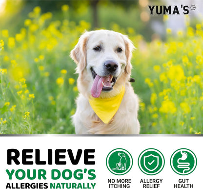 YUMA'S Dog Allergy Relief Chews - Dog Itching Skin Relief Treatment Pills - 170 Treats - Anti-Itch for Dogs - Itchy and Paw Licking - Dry Skin & Hot Spots - Omega 3 Fish Oil - Skin & Coat Supplement