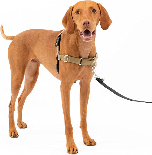 Petsafe Easy Walk No-Pull Dog Harness - the Ultimate Harness to Help Stop Pulling - Take Control & Teach Better Leash Manners - Helps Prevent Pets Pulling on Walks - Medium, Fawn/Brown