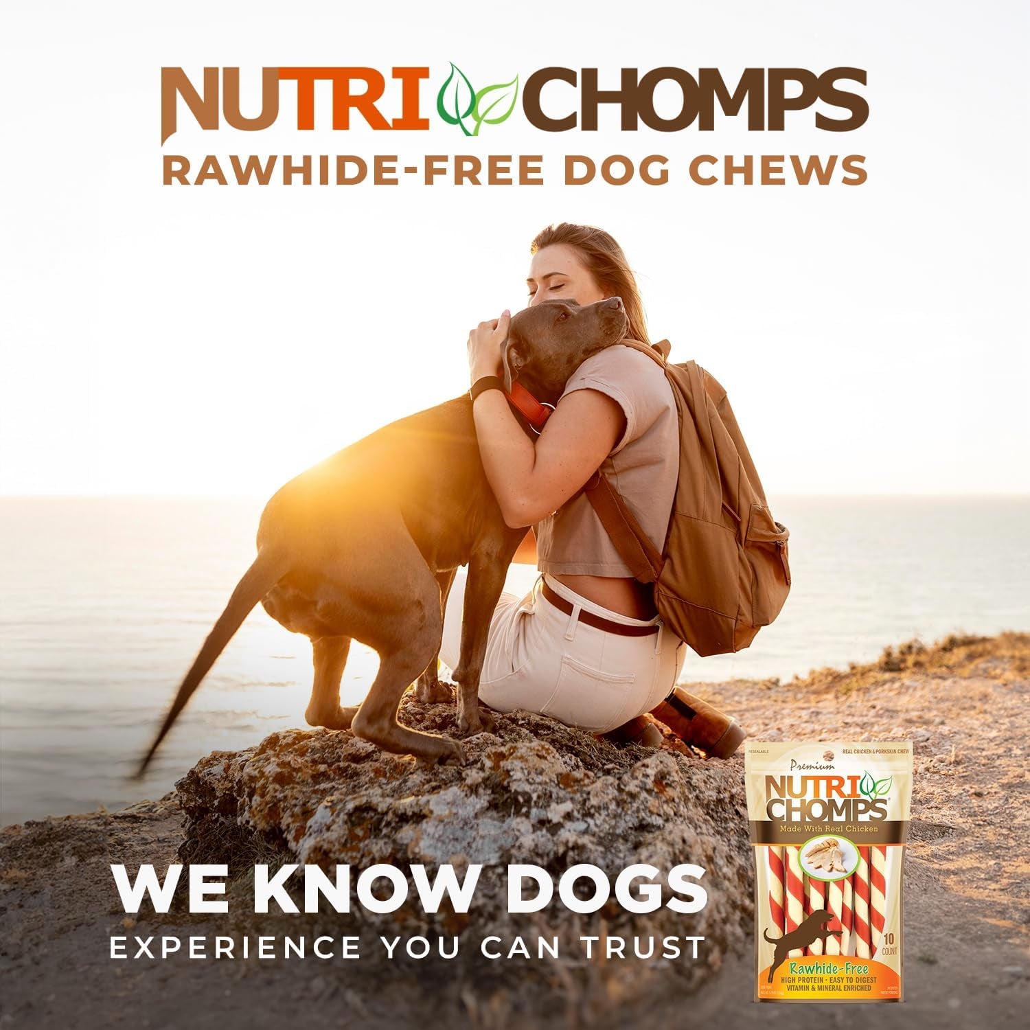 NutriChomps 5 inch Twists,Rawhide-Free Dog Treats, Easy to Digest, Healthy, 10 Count, Real Chicken flavor