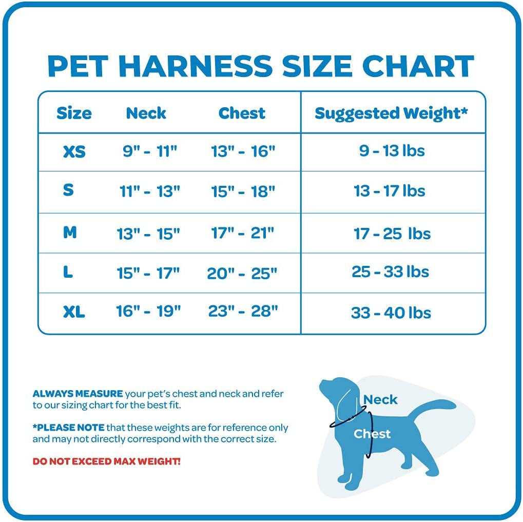 Best Pet Supplies Voyager Adjustable Dog Harness Leash Set with Reflective Stripes for Walking Heavy-Duty Full Body No Pull Vest with Leash D-Ring, Breathable All-Weather - Harness (Turquoise), M