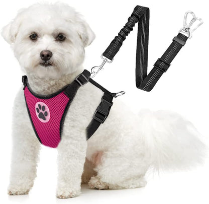 Slowton Dog Seat Belt Harness for Car, Dog Car Harness Adjustable Mesh Breathable & Dog Seatbelt Safety Tether with Elastic Bungee for Small Medium Large Pets(Fuchsia, Double Clip, XS)