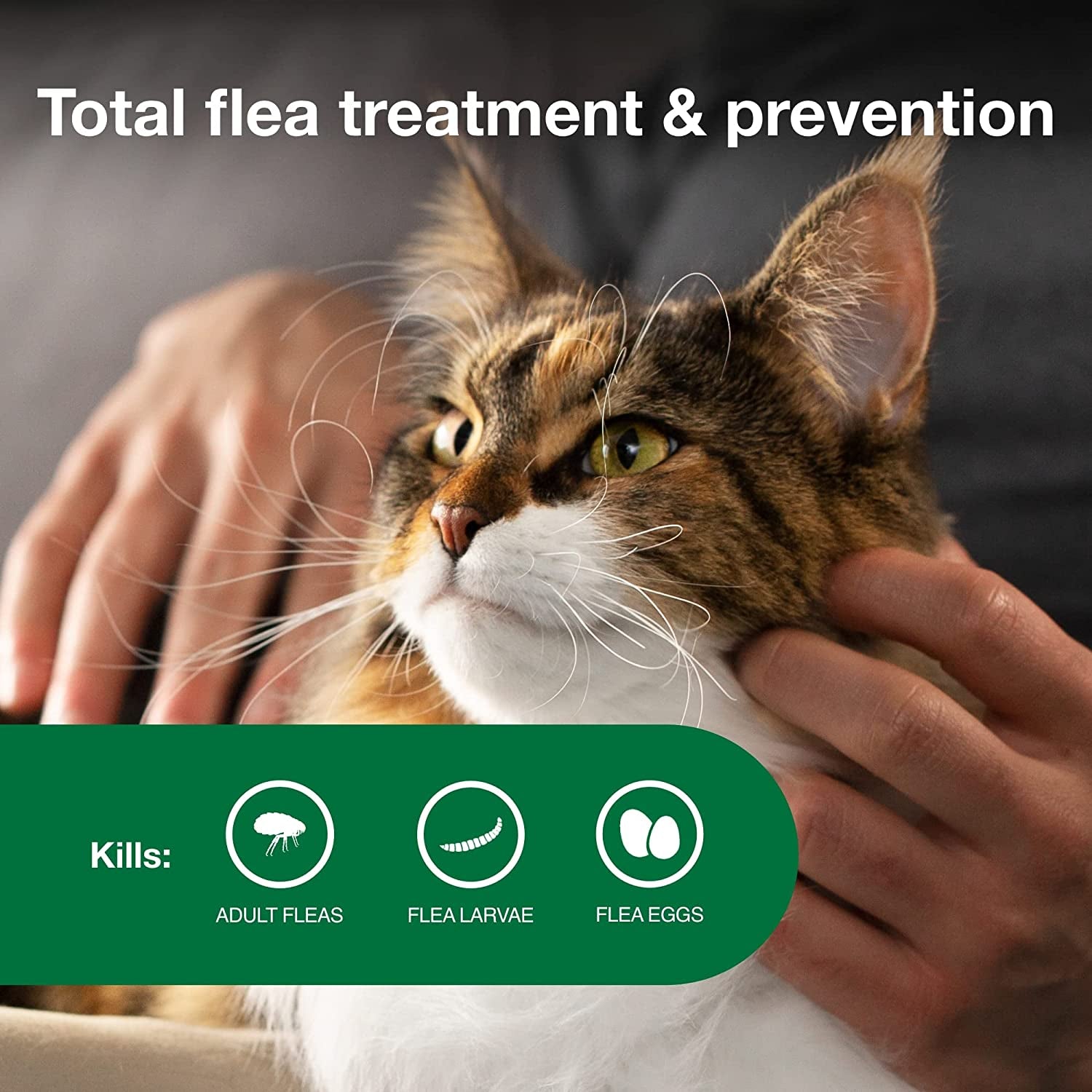 Advantage II Large Cat Vet-Recommended Flea Treatment & Prevention | Cats over 9 Lbs. | 3-Month Supply