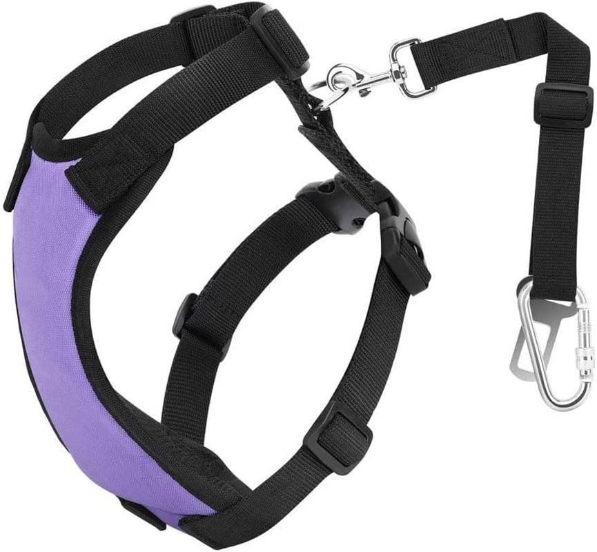 Dog Vehicle Safety Vest Harness, Adjustable Soft Padded Mesh Car Seat Belt Leash Harness with Travel Strap and Carabiner for Most Cars, Size Small, Purple