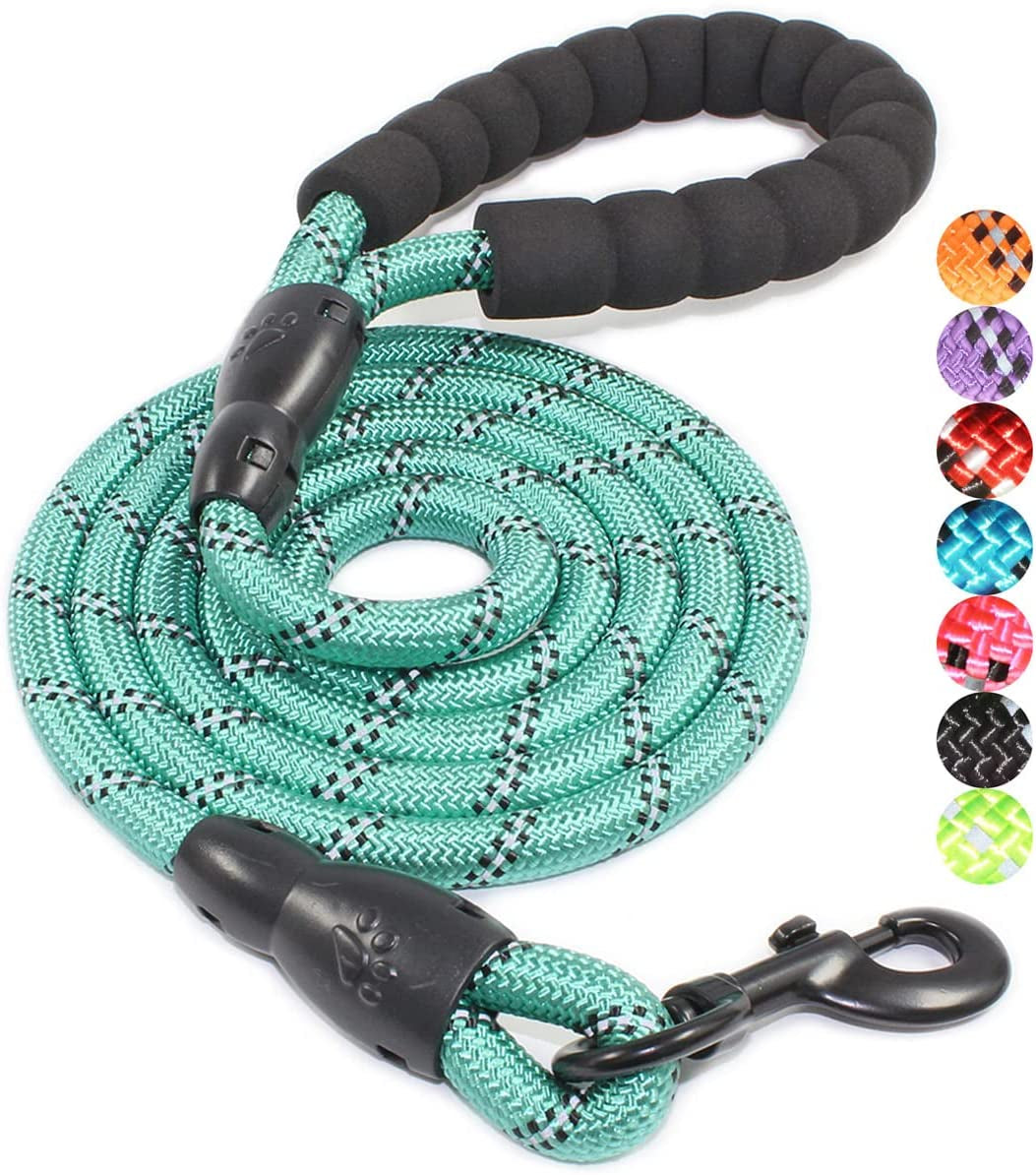 BAAPET 2/4/5/6 FT Dog Leash with Comfortable Padded Handle and Highly Reflective Threads for Small Medium and Large Dogs (5FT-1/2'', Turquoise)