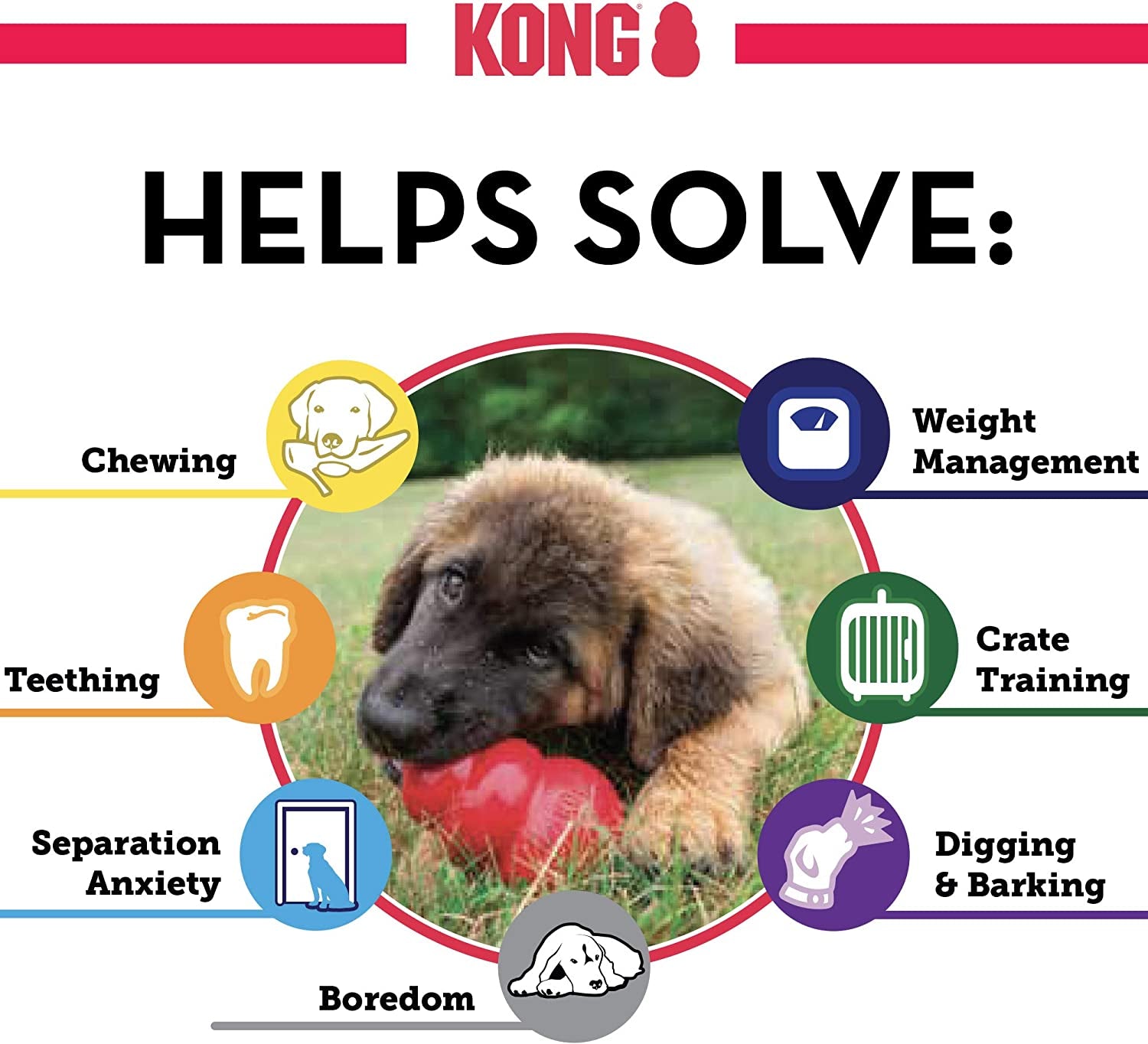 KONG Extreme Dog Toy - Fetch & Chew Toy - Treat-Filling Capabilities & Erratic Bounce for Extended Play Time Most Durable Natural Rubber Material - for Power Chewers - for Small Dogs