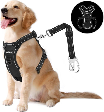 Dog Vehicle Safety Vest Harness, Adjustable Soft Padded Mesh Car Seat Belt Leash Harness with Reflective Strip Travel Strap and Carabiner for Most Cars, M Size, Carbon Black