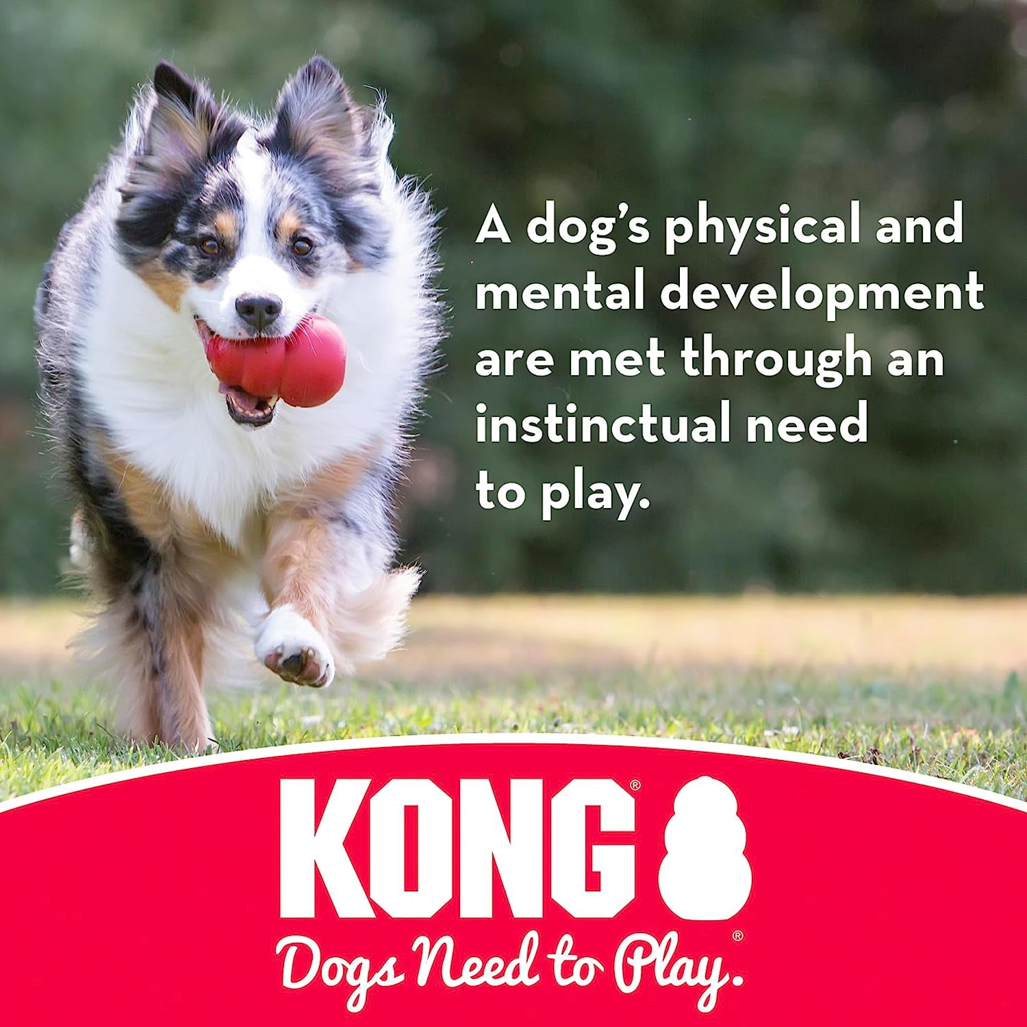 KONG Flyer - Durable Dog Toy for Outdoor Playtime - Natural Rubber Flying Disc, Dog Toy for Fetch - Safer Disc for Healthy Activity - for Small Dogs