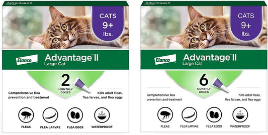 Advantage II Large Cat Vet-Recommended Flea Treatment & Prevention | Cats over 9 Lbs. | 8-Month Supply