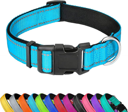 Reflective Dog Collar, Adjustable Soft Neoprene Padded Nylon Pet Collars with Buckle for Small Dogs, Sky Blue,S