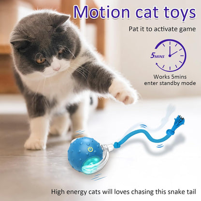 Interactive Cat Toys Ball for Indoor Cats Fast Rolling on Carpet, Chirping & Motion Activate Cat Toys (Blue)