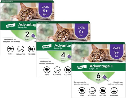 Advantage II Large Cat Vet-Recommended Flea Treatment & Prevention | Cats over 9 Lbs. | 12-Month Supply