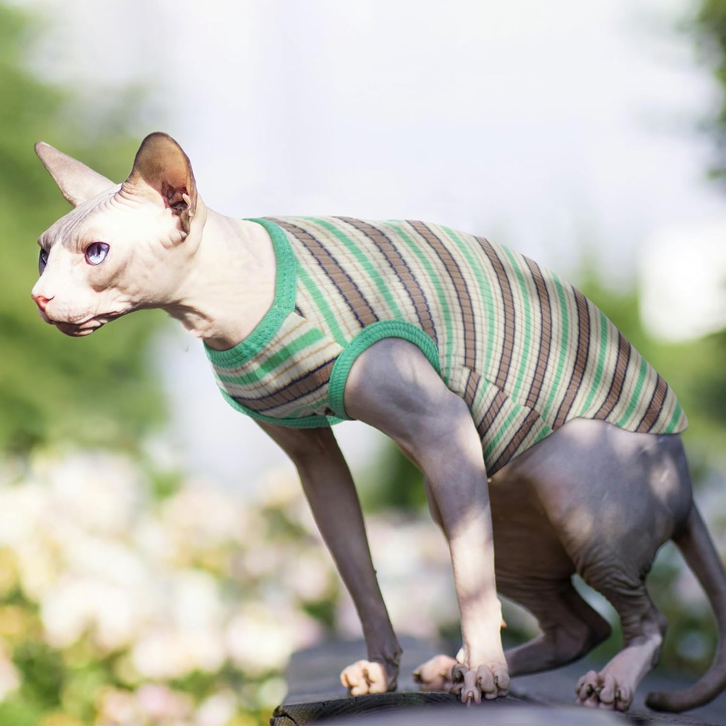 Nanaki Hairless Sphynx Cat Clothes Sphynx Sweaters for Cats Sleeveless, Cat Sweater Cat Shirts for Cats Only, Stripe Cat Shirt T-Shirts Breathable Cat Apparel Vest Pajamas Jumpsuit for Cats Small Dogs