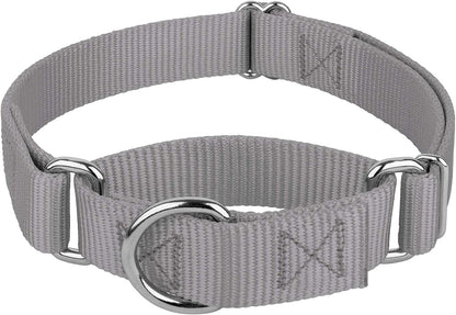 Country Brook Design - Silver Martingale Heavy Duty Nylon Dog Collar - 21 Vibrant Color Options (3/4 Inch Width, Small)