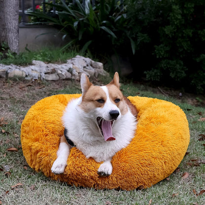 Pet Beds for Medium Dogs Calming Dog Bed 30 Inches Orange Dog Beds for Medium Dogs Washable Anti-Anxiety Dog Bed Medium Size Dog