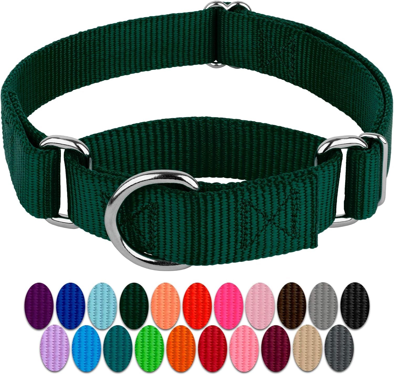 Country Brook Petz - Green Martingale Heavy Duty Nylon Dog Collar - 21 Vibrant Color Options (3/8 Inch Width, Micro)