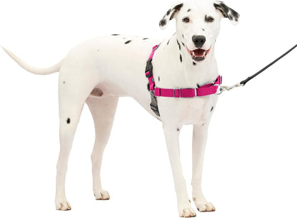 Petsafe Easy Walk Dog Harness - Stop Pulling & Teach Leash Manners - Prevent Pulling on Walks - Medium/Large, Raspberry/Gray