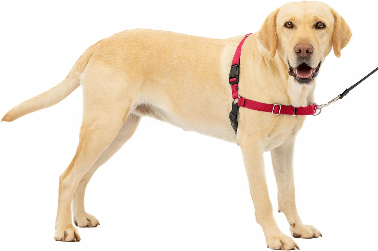 Petsafe Easy Walk No-Pull Dog Harness - the Ultimate Harness to Help Stop Pulling - Take Control & Teach Better Leash Manners - Helps Prevent Pets Pulling on Walks - Large, Red/Black