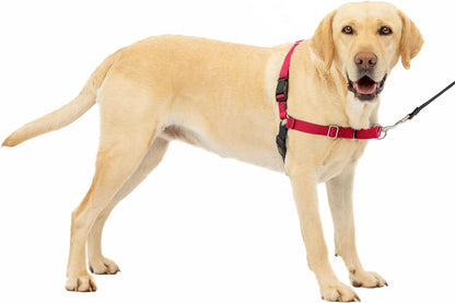 Petsafe Easy Walk No-Pull Dog Harness - the Ultimate Harness to Help Stop Pulling - Take Control & Teach Better Leash Manners - Helps Prevent Pets Pulling on Walks - Large, Red/Black