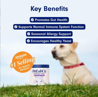 Petlab Co. Probiotics for Dogs, Support Gut Health, Diarrhea, Digestive Health & Seasonal Allergies - Salmon Flavor - 30 Soft Chews