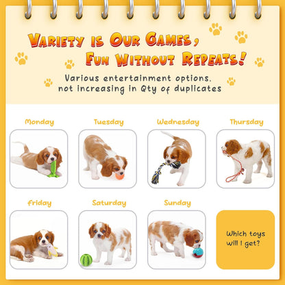 KIPRITII Assorted Dog Chew Toys Tailored for 25-50Lbs Dogs-14 Pack Various Puppy Toys Dog Teething Toys for Boredom with Rope Toys, Dog Treat Balls & Squeaky Toys for Small, Medium & Large Breeds