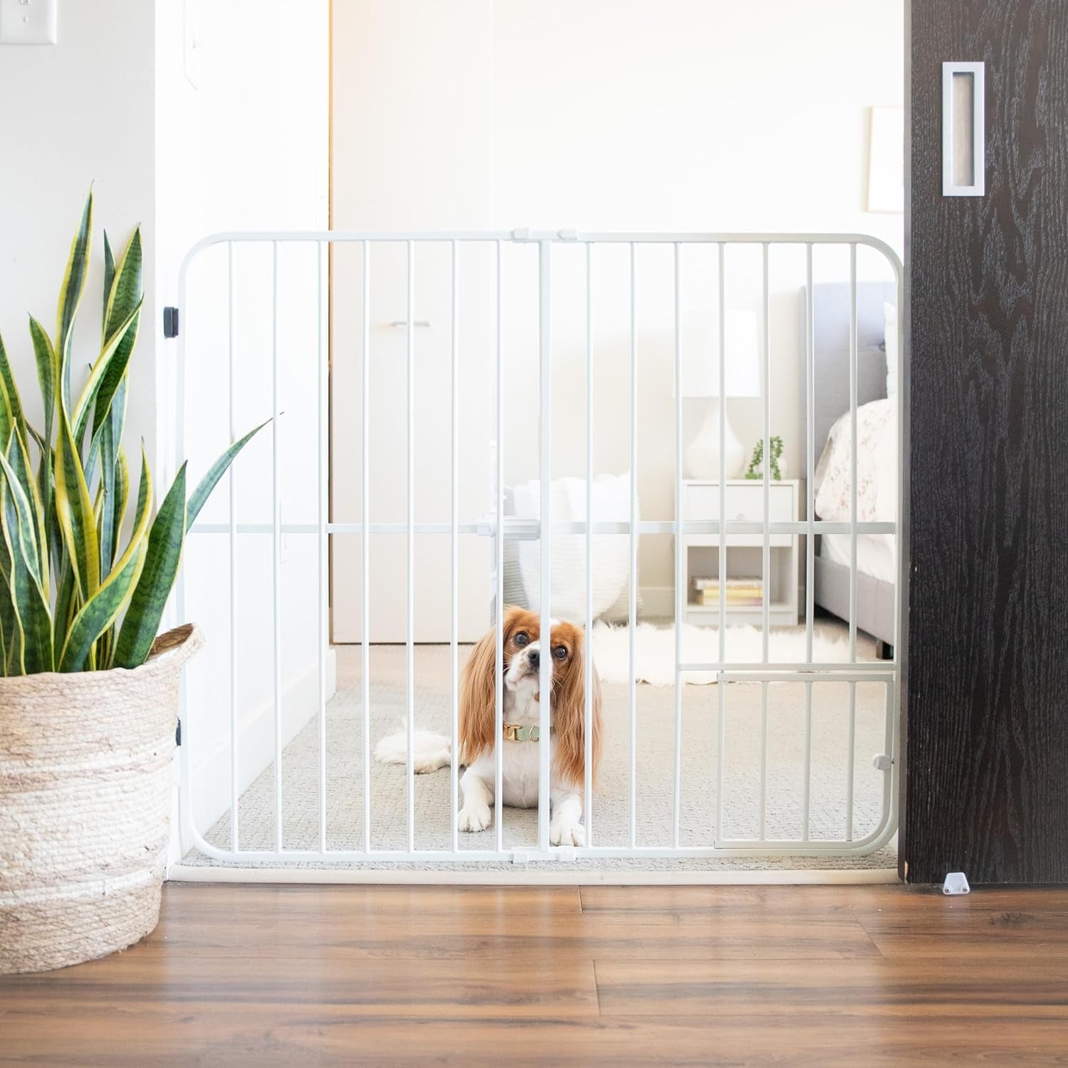 Carlson Extra Tall Metal Expandable Pet Gate White, Includes Small Pet Door 32" Tall X 22" - 38" Wide