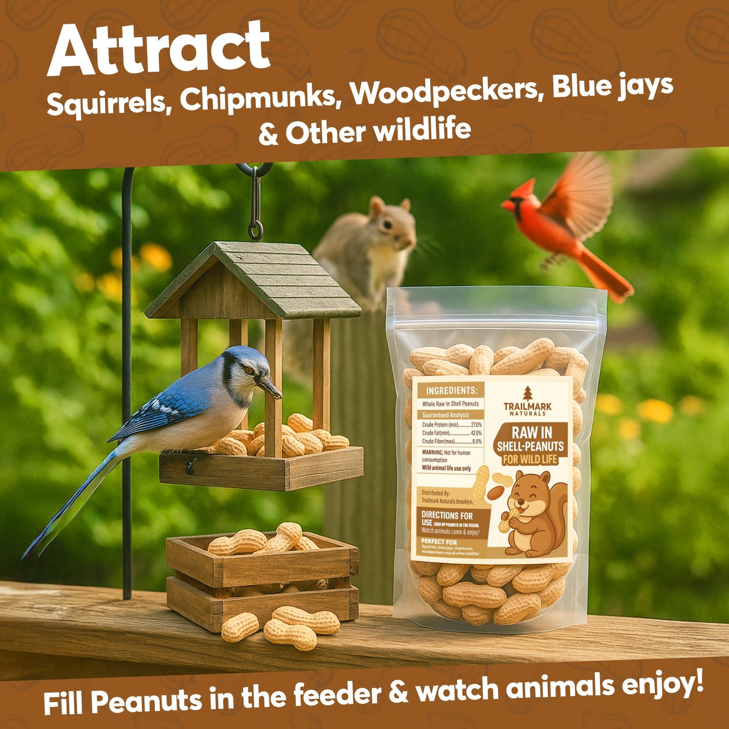 Trailmark Naturals - 5 LB - Raw Peanuts For Squirrels, Raw In Shell Peanuts For Birds and Wildlife- Squirrel Food, Wild Bird Seed - Grown in The USA