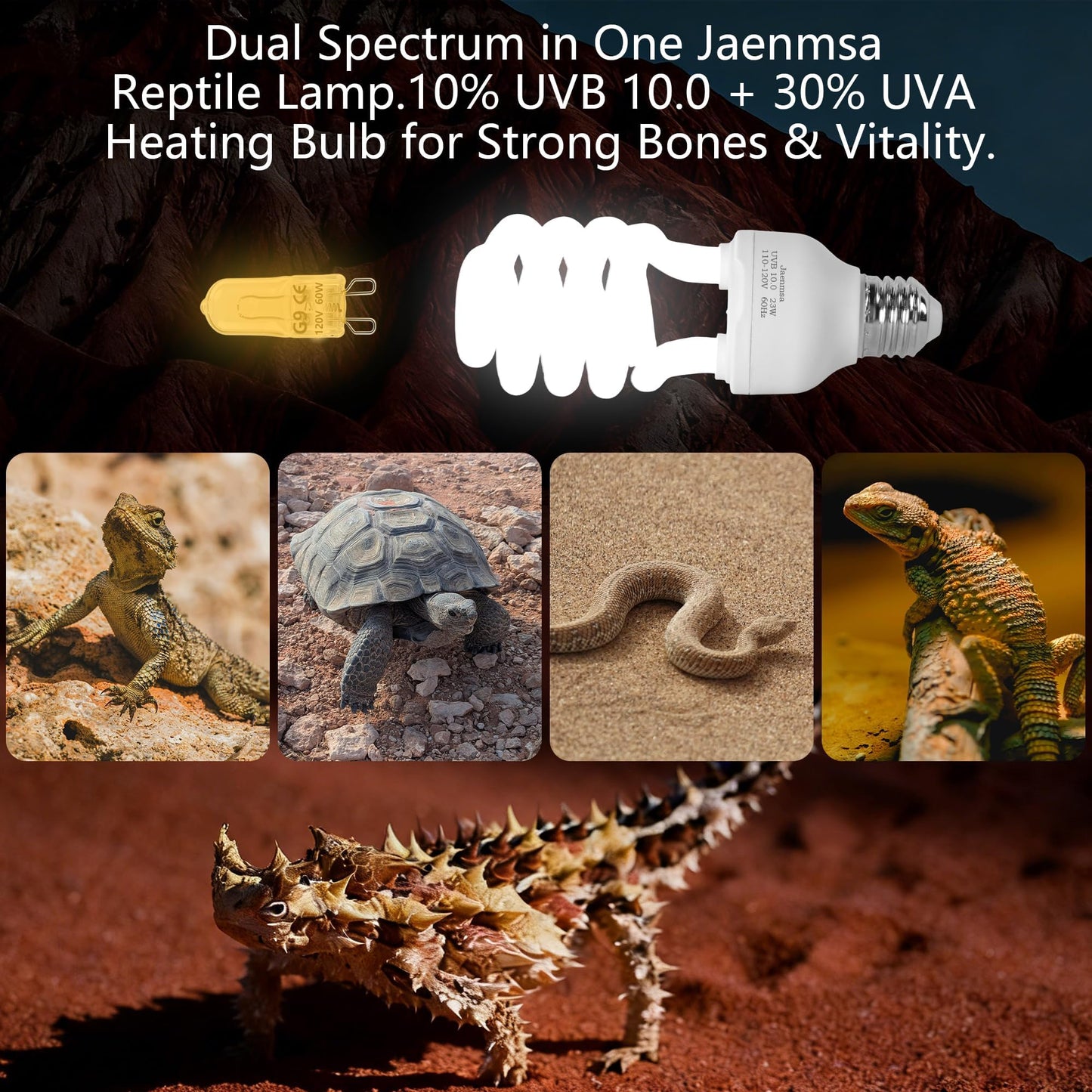 Jaenmsa Dual Reptile Heat Lamp Fixture Max 90W with Separate Switches, 23W 10.0 UVB Light & 2 Pcs 60W Halogen Heat Lamp for Reptiles, Bearded Dragon, Lizard, Turtle, Snake