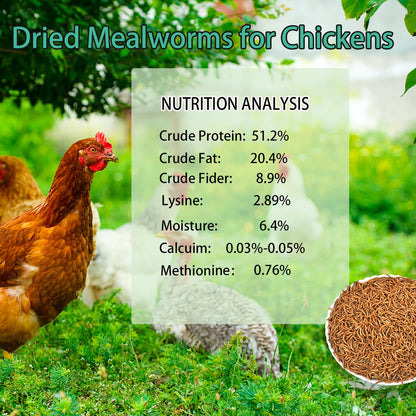 KAYHEN Dried Mealworms for Chickens 10LB Pure Natural Non-GMO High Protein Feed Meal Worms for Laying Hens Wild Birds