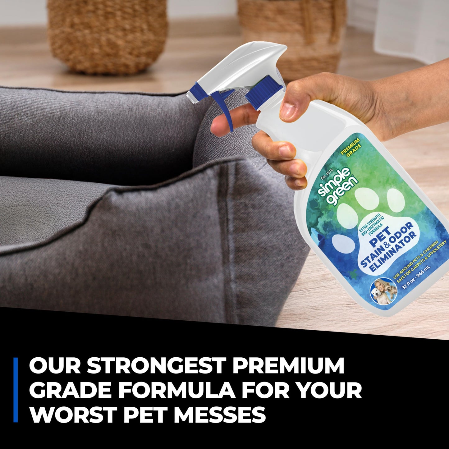 Simple Green Pet Stain and Odor Eliminator 32 oz