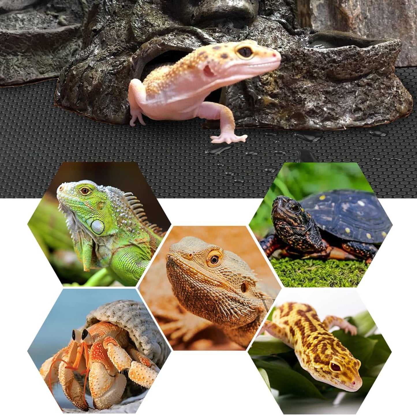 Bearded Dragon Tank Accessories, Reptile Terrarium Carpet Substrate for Leopard Gecko, Lizard, Iguana, Snake, Tortoise, Non-Adhesive Reptile Habitat Bedding(Black 79inch)