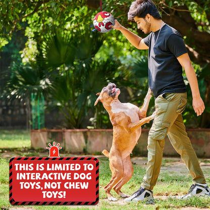 QDAN Dog Balls Toys, Dog Soccer Ball Toy Soccer Balls with with Straps, Dog Gifts Toys, Pet Puppy Birthday Valentines Gifts for Small Medium Dogs, 6 Inch, Chicken Ball