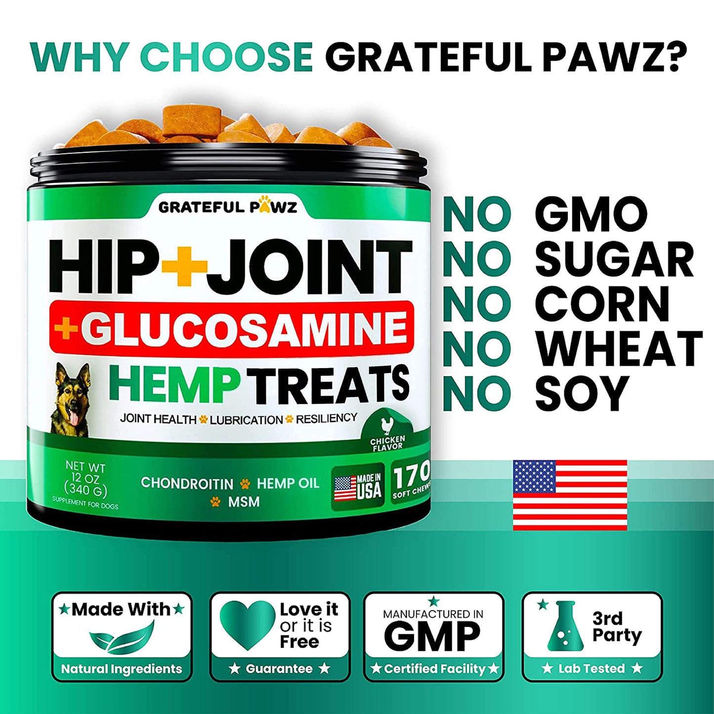 Hemp Hip and Joint Supplement for Dogs - Glucosamine for Dogs - 170 Joint Pain Relief Treats - Chondroitin, MSM, Hemp Oil - Advanced Health Supplement - Mobility Support Chews - Made in USA